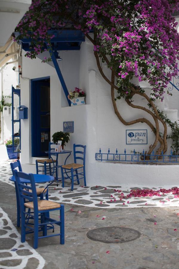 Villas Alexandra Skiathos Platanias  エクステリア 写真