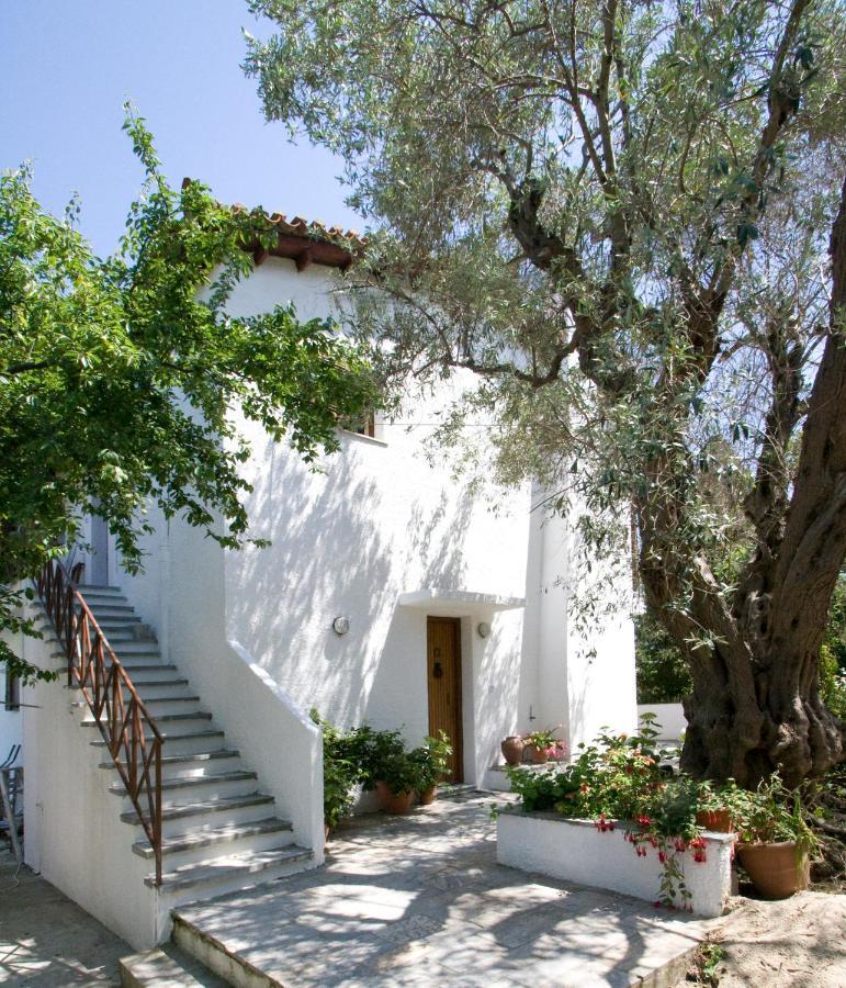 Villas Alexandra Skiathos Platanias  エクステリア 写真