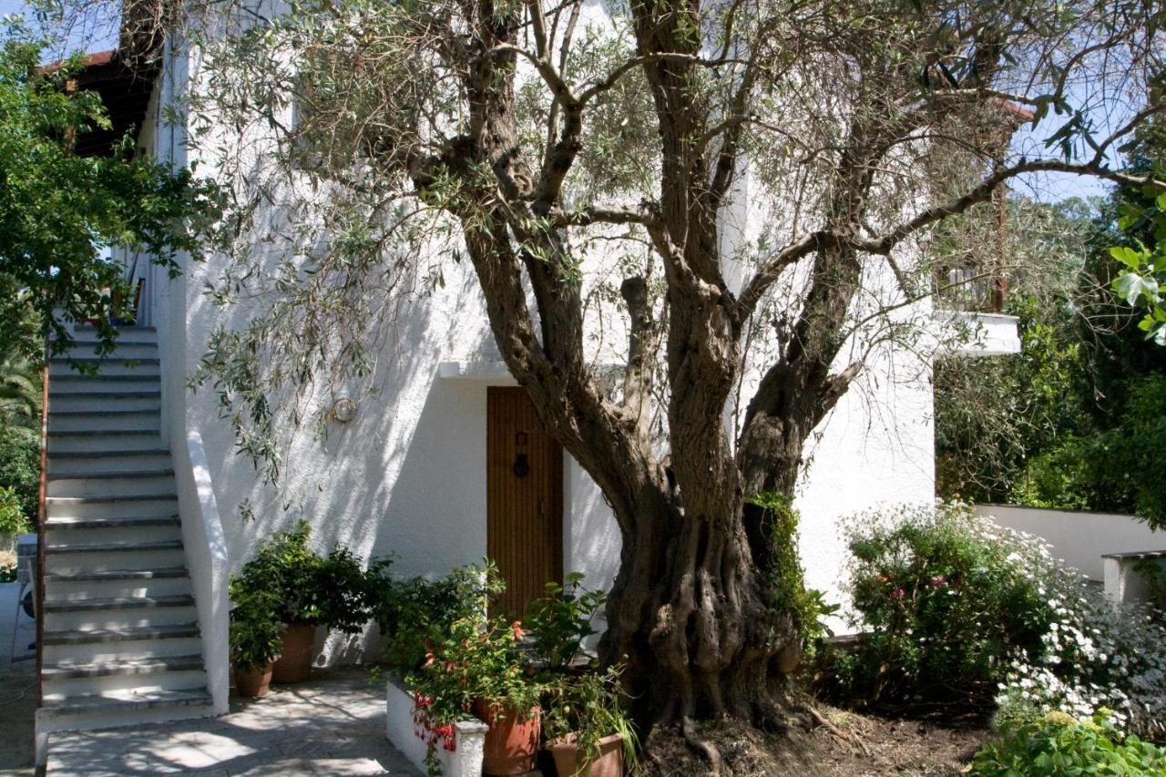 Villas Alexandra Skiathos Platanias  エクステリア 写真